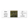 Prairie Wildflowers Bumper Stickers