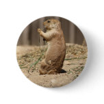 Prarie Dog Eating Grass Button