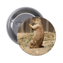 Prarie Dog Eating Grass Button