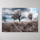 Prarie ice posters