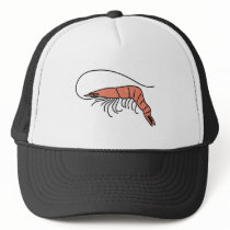 prawn hats