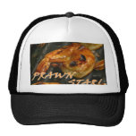 Prawn Star Mesh Hat