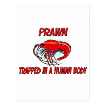Prawn trapped in a human body post card
