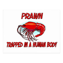 Prawn trapped in a human body postcards