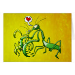 Pray, Love and Die cards