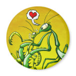 Pray, Love and Die magnets
