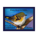 PRAY: NO WORRY: BIBLE: BIRD POST CARD