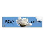 Pray Often bumper stickers Blue Sky Magnolia bumper stickers