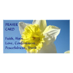 PRAYER CARD Spring Yellow Daffodil Flower photo cards