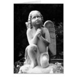 Praying Cherub cards