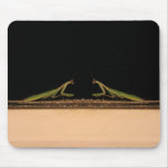 Praying Mantids mousepads