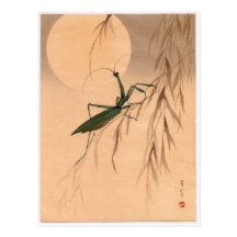 Praying Mantis and the Moon Japanese Art c. 1800s Post Card