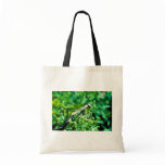 Praying Mantis bags