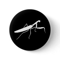 Praying Mantis