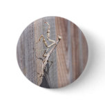 Praying Mantis Button