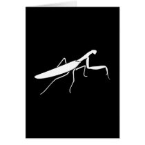 Praying Mantis