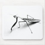 Praying Mantis Collection mousepads