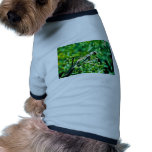 Praying Mantis pet clothing