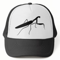 Praying Mantis