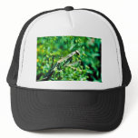 Praying Mantis hats