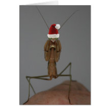 Praying Mantis Holiday Card