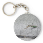 Praying mantis Key chain keychains