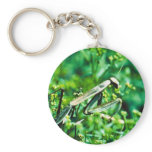 Praying Mantis keychains