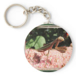 Praying Mantis ~ keychain