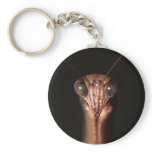praying mantis keychains