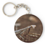 Praying Mantis keychains