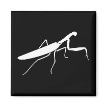 Praying Mantis