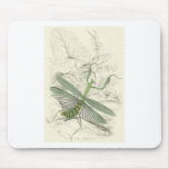 Praying Mantis, Mantis Religiosa Mousepads