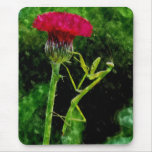Praying Mantis Mouse Pad