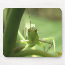 praying mantis mousepads