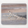 Praying Mantis Mousepad