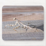 Praying Mantis Mousepad