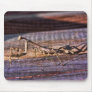 Praying Mantis Mousepad