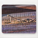 Praying Mantis mousepads
