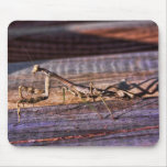 Praying Mantis mousepads