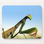 Praying Mantis Mousepad
