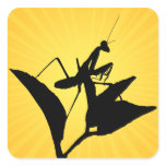 Praying Mantis On A Twig With A Starburst Backgrou stickers