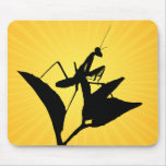 Praying Mantis On A Twig With A Starburst mousepads