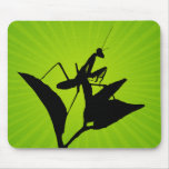 Praying Mantis On A Twig With A Starburst mousepads