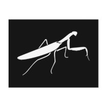 Praying Mantis