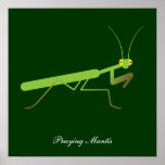 Praying mantis poster