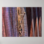 Praying Mantis posters