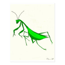 Praying Mantis Products Postcards