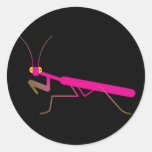 Praying mantis stickers