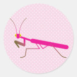Praying mantis stickers