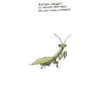 praying mantis trivia t-shirts
